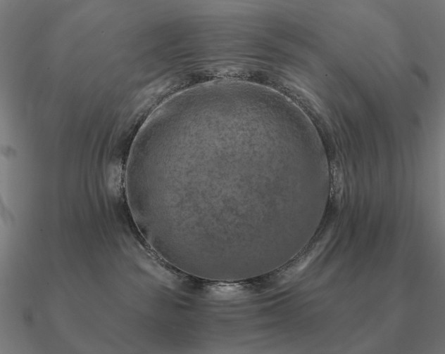 X0000090930189200708061610