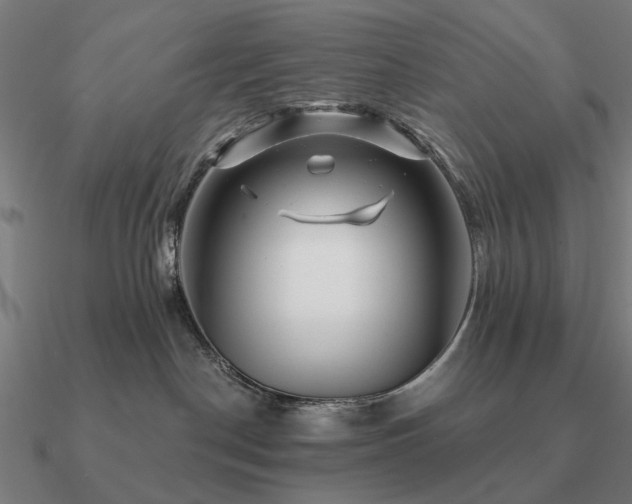 X0000090930190200708061610