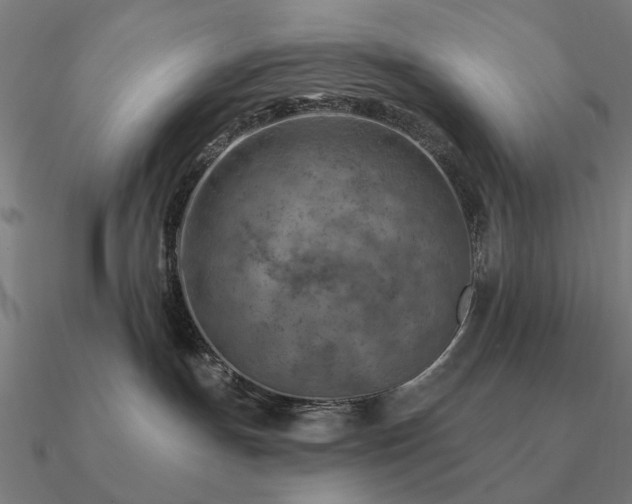 X0000090930191200708061610