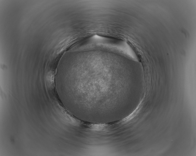 X0000090930192200708061610