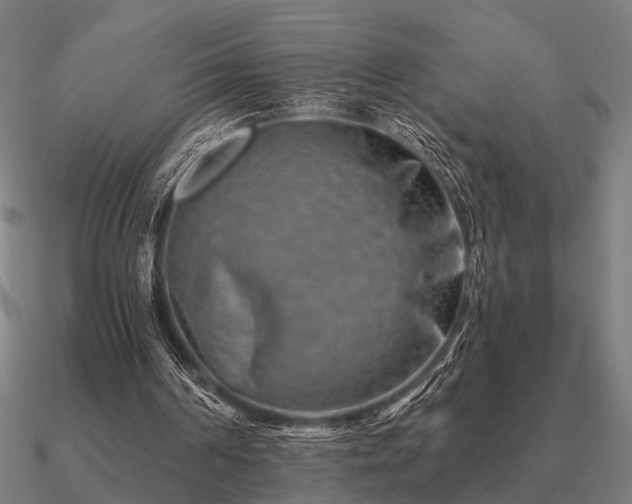 X0000090930194200708061610