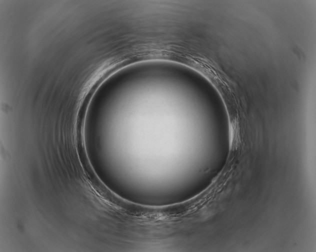 X0000090930195200708061610