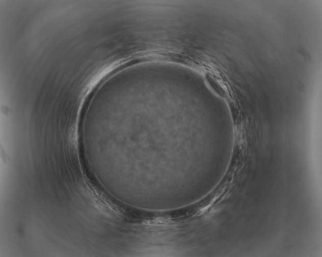 X0000090930196200708061610