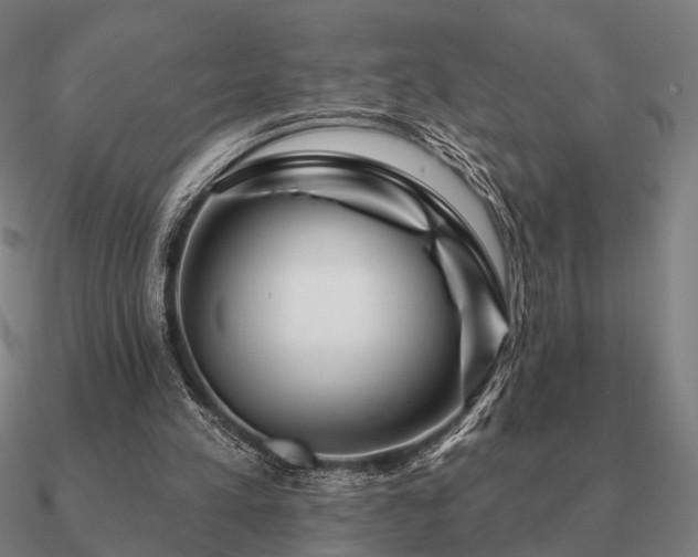 X0000090930197200708061610