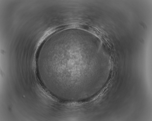 X0000090930198200708061610