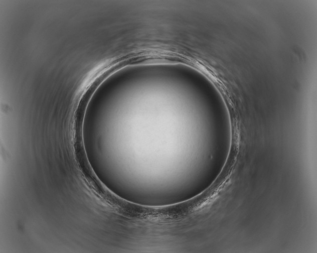 X0000090930199200708061610