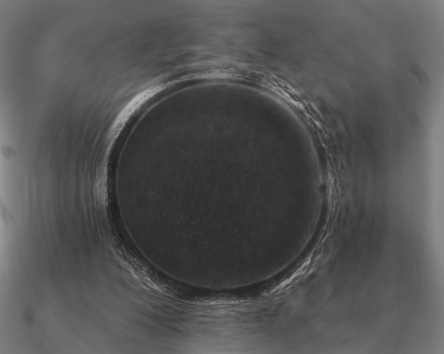 X0000090930200200708061610