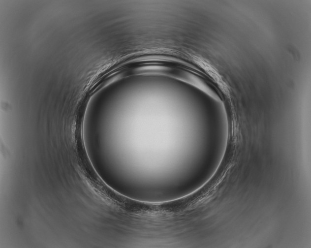 X0000090930201200708061610