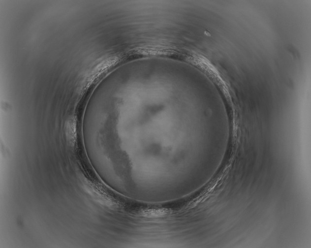 X0000090930202200708061610