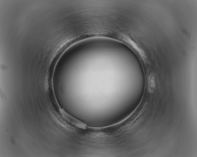 X0000090930203200708061610