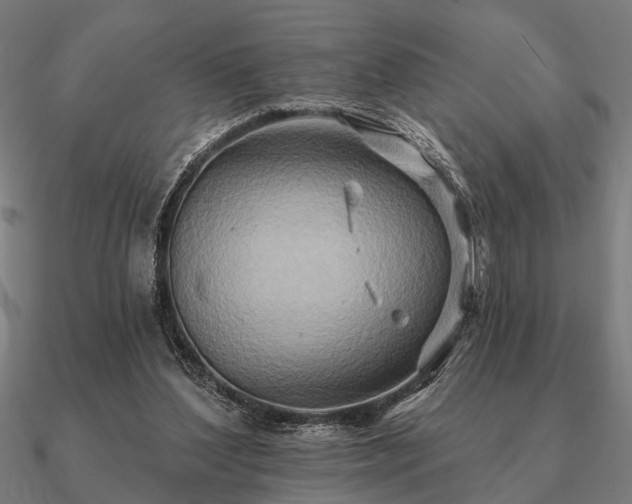 X0000090930204200708061610