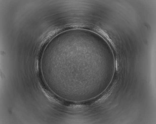 X0000090930205200708061610