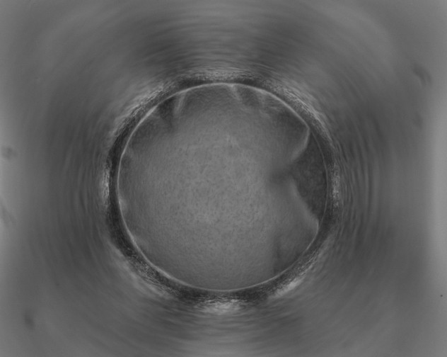 X0000090930206200708061609