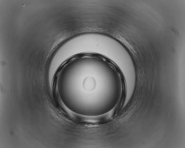 X0000090930207200708061609