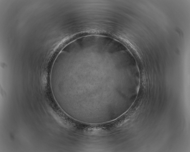 X0000090930208200708061609