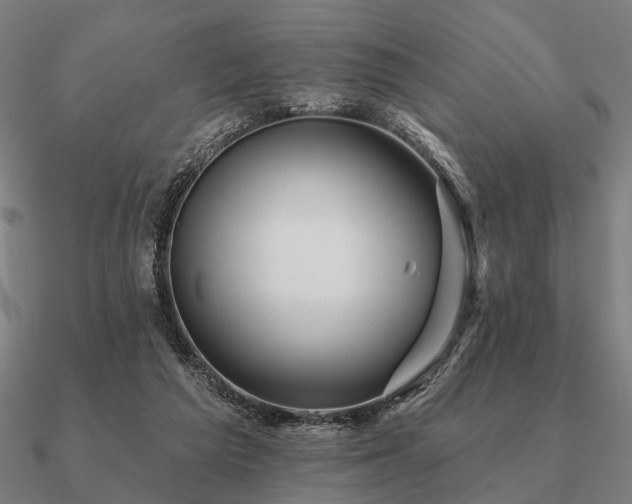 X0000090930209200708061609