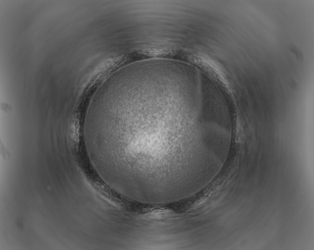 X0000090930210200708061609