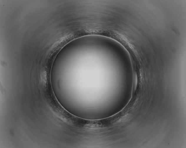 X0000090930211200708061609