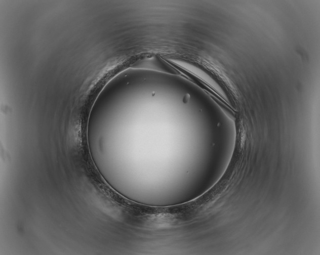 X0000090930212200708061609