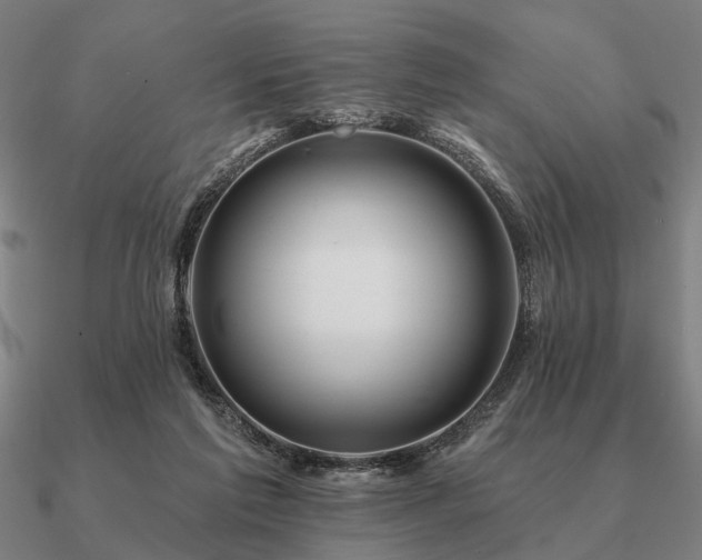 X0000090930213200708061609