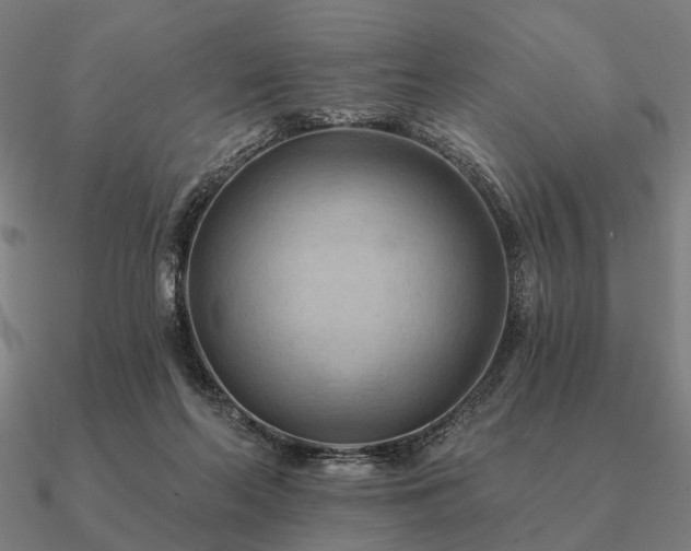 X0000090930214200708061609