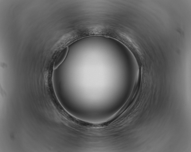 X0000090930217200708061609