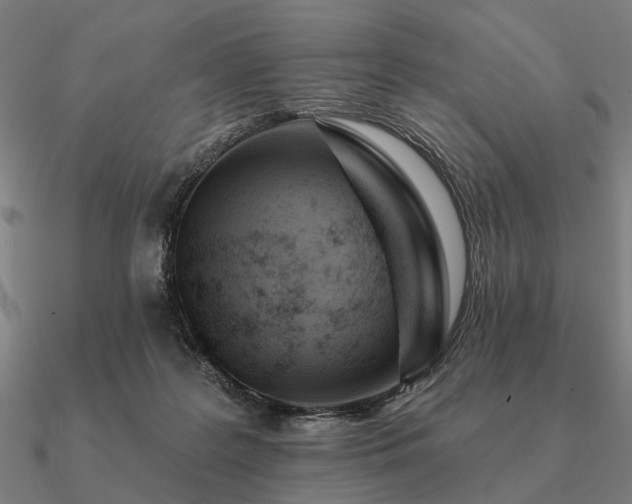 X0000090930219200708061609