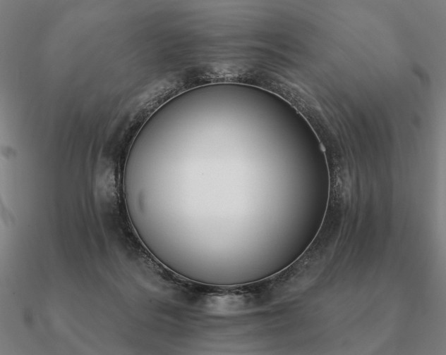 X0000090930220200708061609