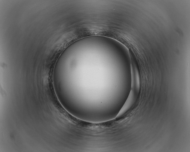 X0000090930221200708061609