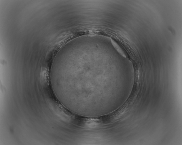 X0000090930222200708061609