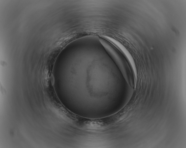 X0000090930223200708061609