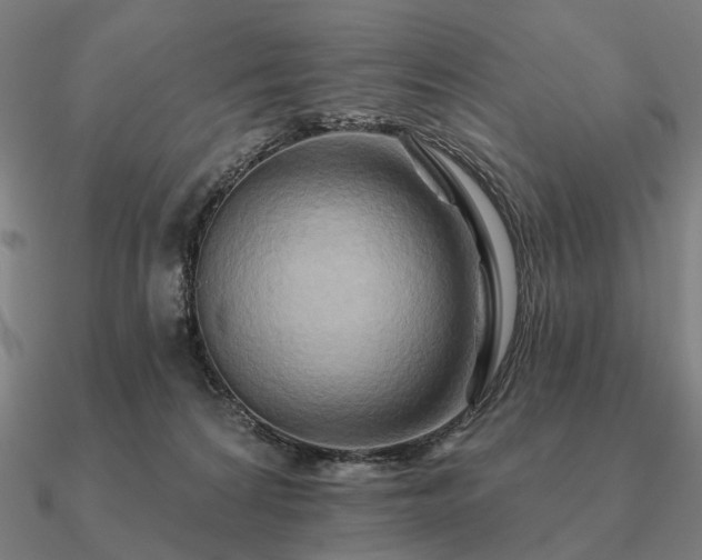 X0000090930224200708061609