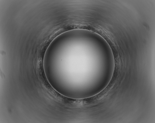 X0000090930225200708061609