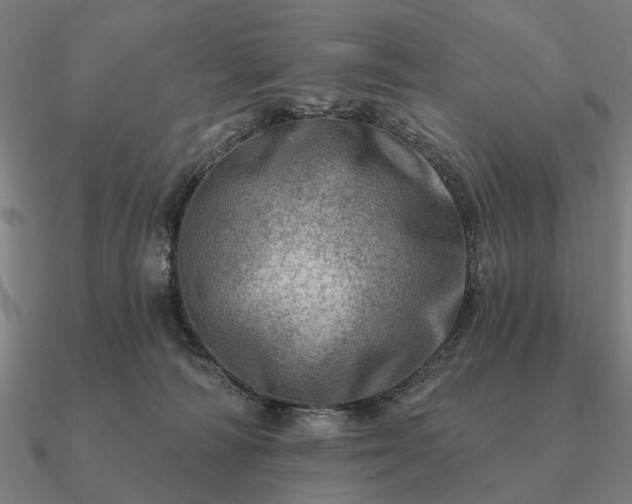 X0000090930226200708061609