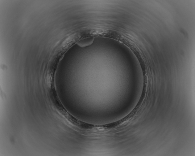 X0000090930227200708061609