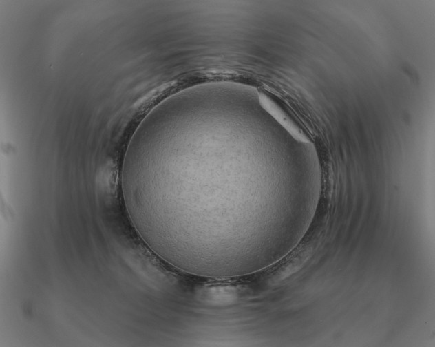 X0000090930228200708061609