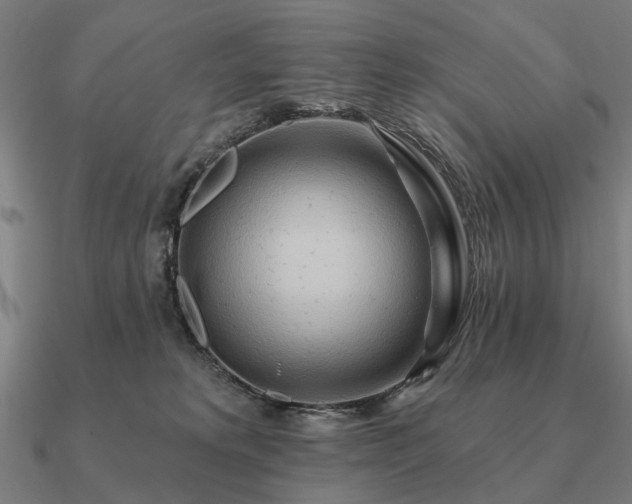 X0000090930229200708061609