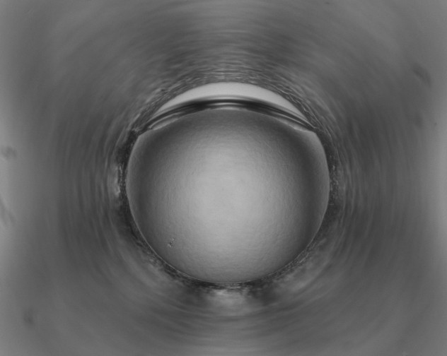 X0000090930232200708061609