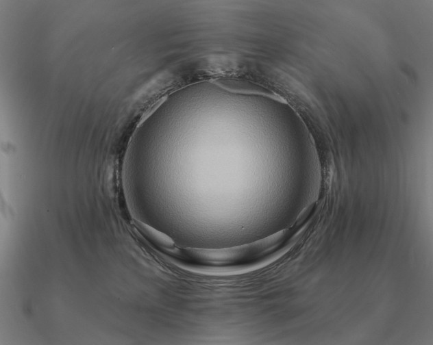 X0000090930233200708061609