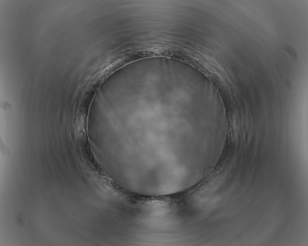 X0000090930236200708061609