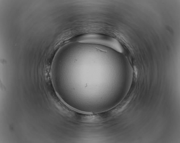 X0000090930237200708061609