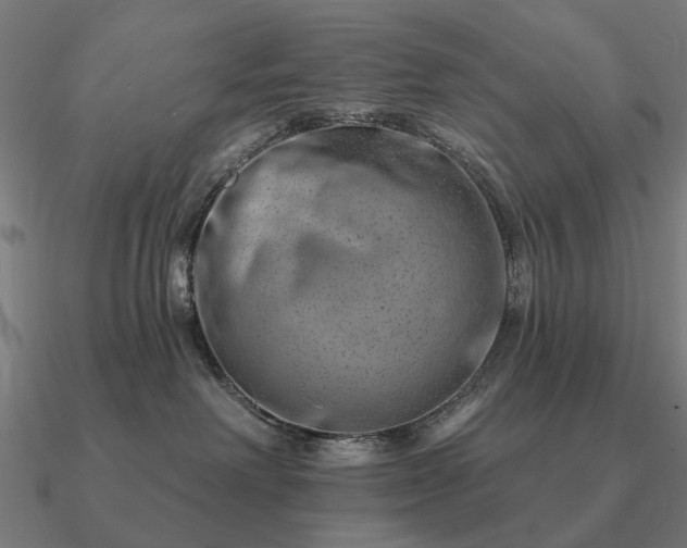 X0000090930238200708061609