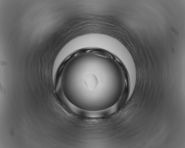 X0000090930239200708061609