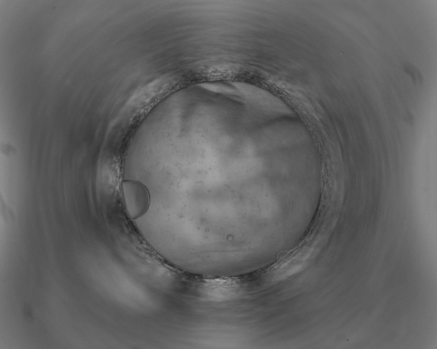 X0000090930240200708061609