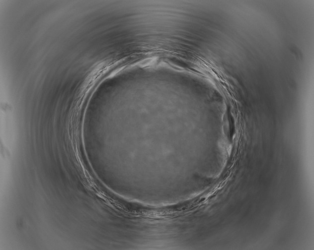 X0000090930241200708061608