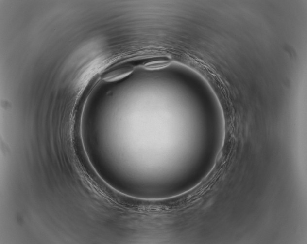 X0000090930242200708061608