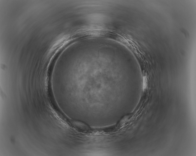 X0000090930243200708061608