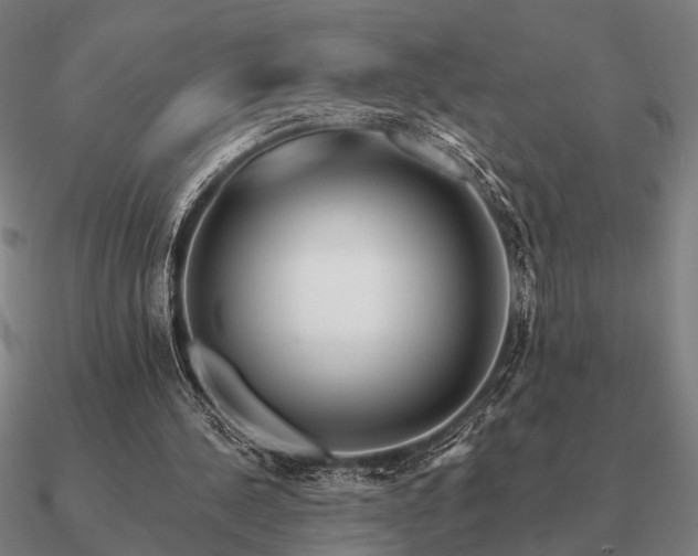 X0000090930244200708061608