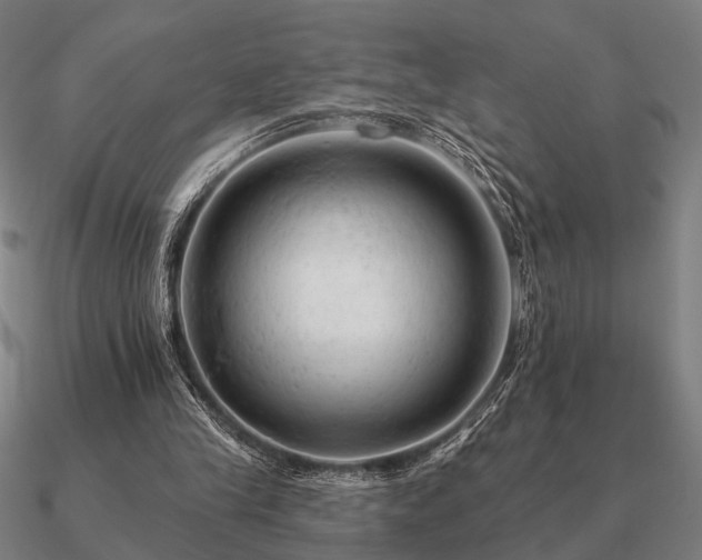 X0000090930245200708061608