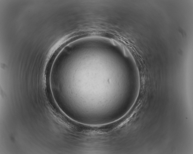 X0000090930246200708061608